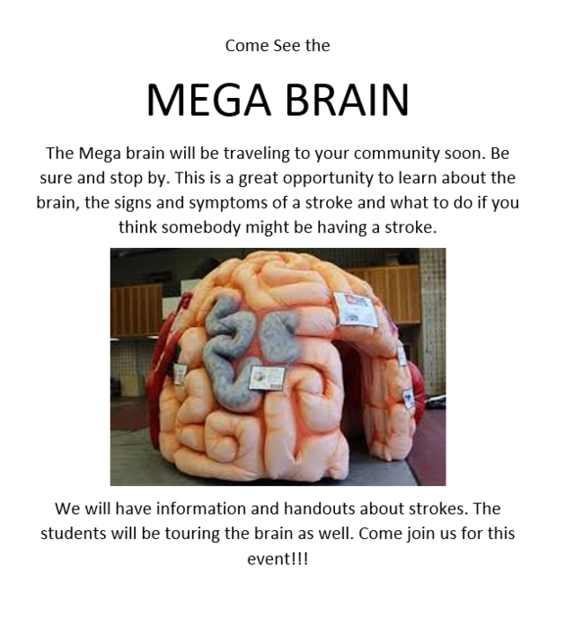 Mega Brain Flier 